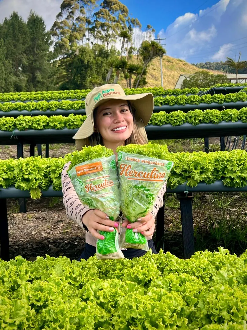 Trabajadora de Agro Ganard sosteniendo bolsas de lechuga Herculina frente a las camas de cultivo.