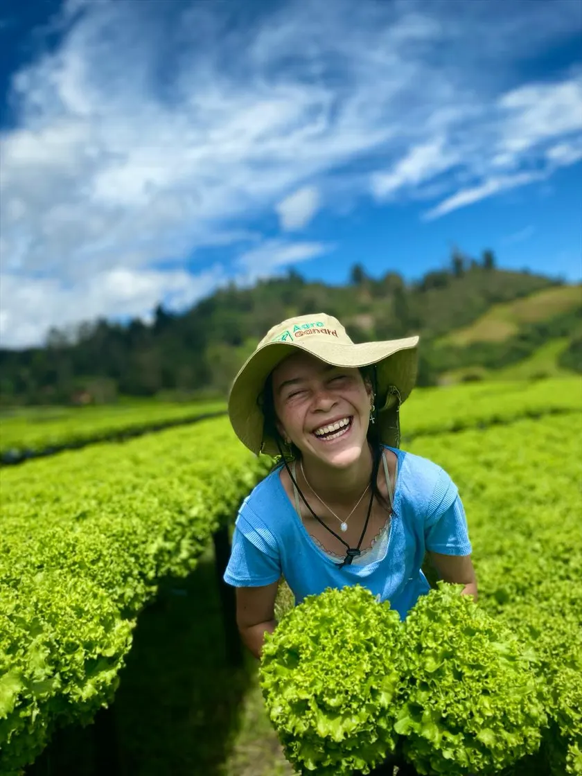 Trabajadora de la finca riendo entre las camas de lechuga.