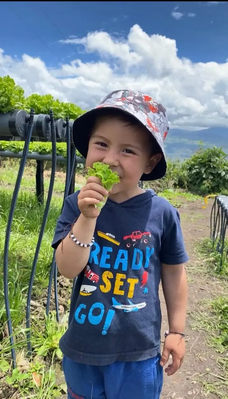 Un niño prueba una hoja de lechuga junto a los canales de cultivo.